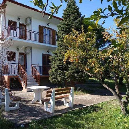 Manousi 1- Ground Floor Apartment Mistras Exterior foto